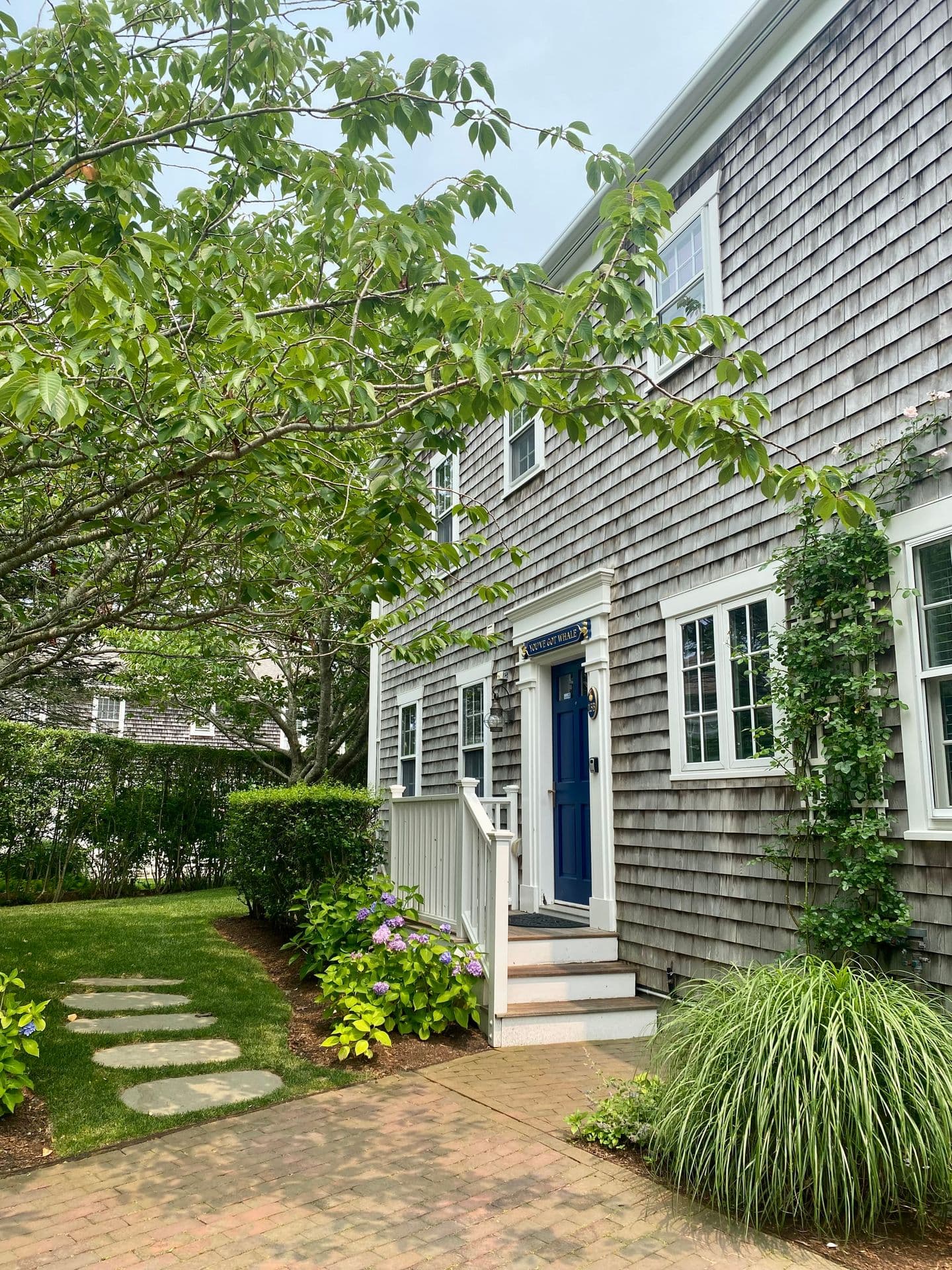 You've Got Whale, a cedar-shingle Nantucket house with a blue door, hydrangeas, and a filled-in privet