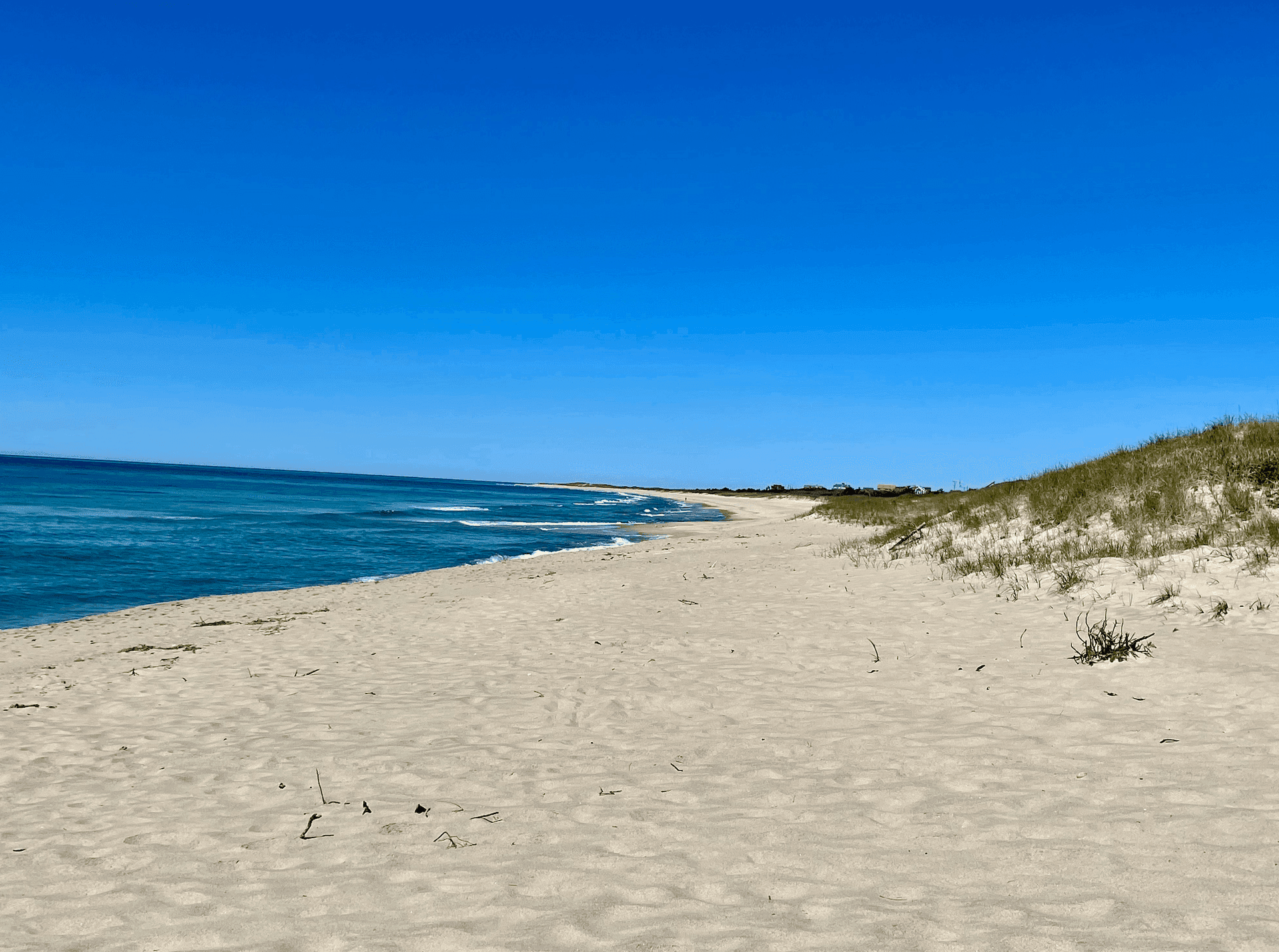 South shore beach and dunes on Nantucket